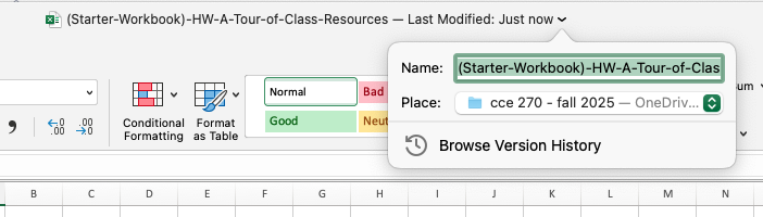 workbook_rename.png